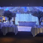 Wedding Reception with White Lighting
